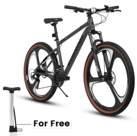 BHigh-carbon Steel Frame Fork Bike