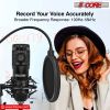 5 Core USB Microphone Condenser Mic for Computer Gaming Podcast Tripod Stand Kit for Streaming Recording, Vocals Voice Cardioids Studio Microphone RM